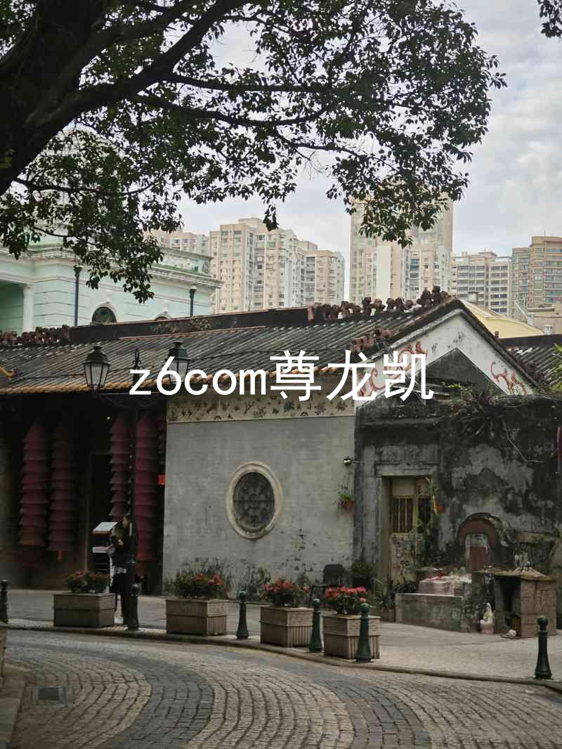 z6com尊龙凯